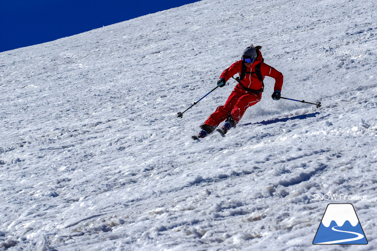 ニセコグラン・ヒラフ DYNASTAR SKI TEST RIDE DAYS Photo Session!!最高の天気に恵まれたニセコに、最高の仲間たちが集まりました☆